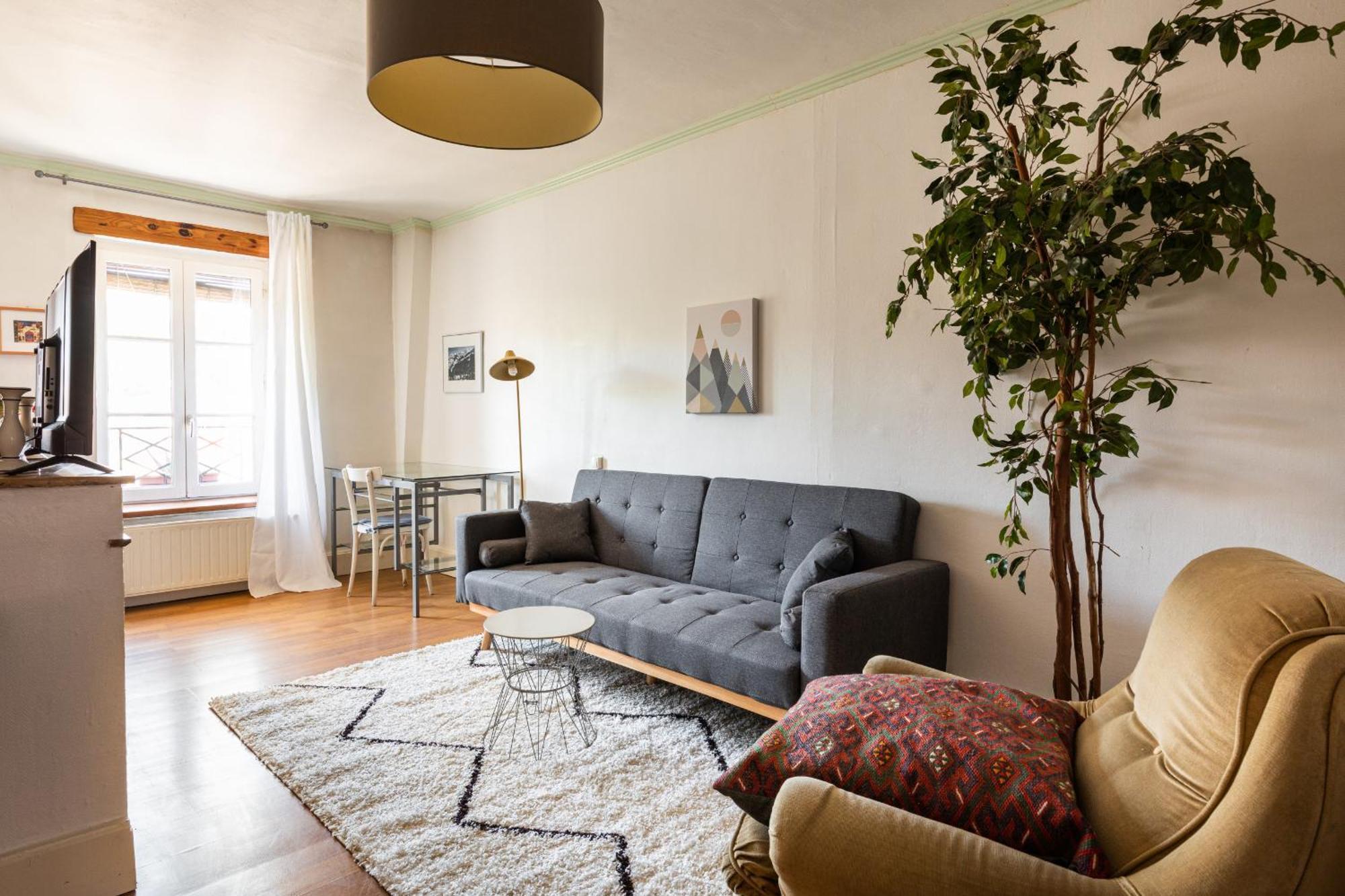 Dify Adelaide Perrin - Ainay Apartment Lyon Ngoại thất bức ảnh